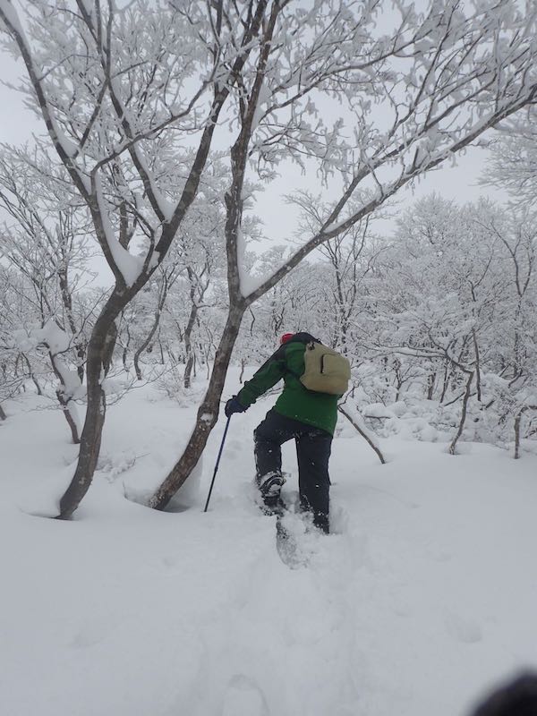コヤマノ岳との鞍部からの登り