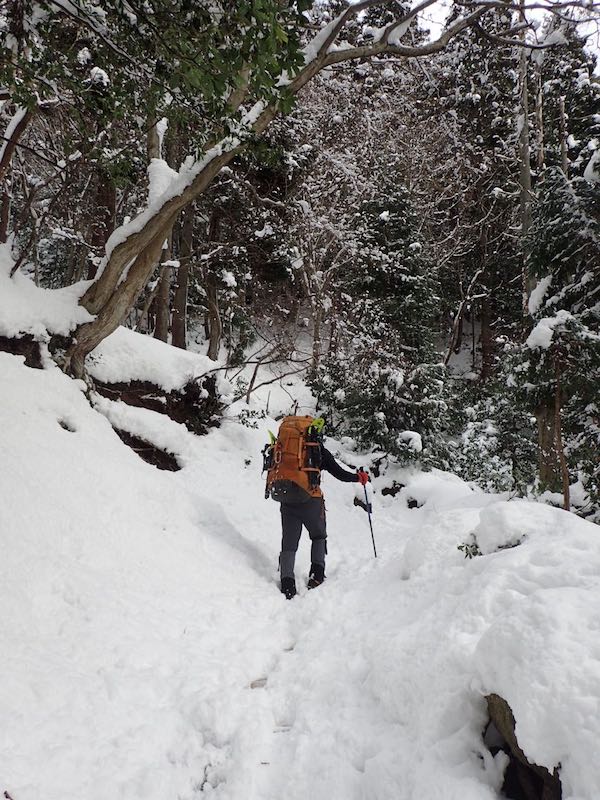 ダケ道をラッセル