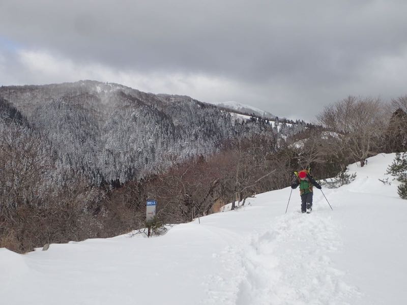 北比良峠に戻って来た。バックに武奈ヶ岳