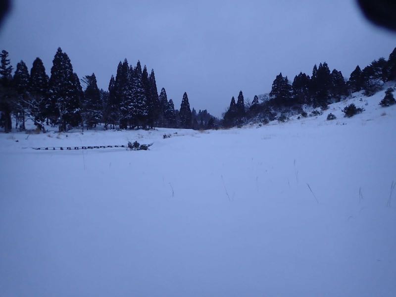 夜明けの八雲ヶ原