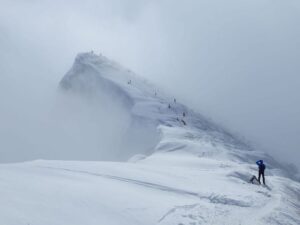トマの耳が幻想的