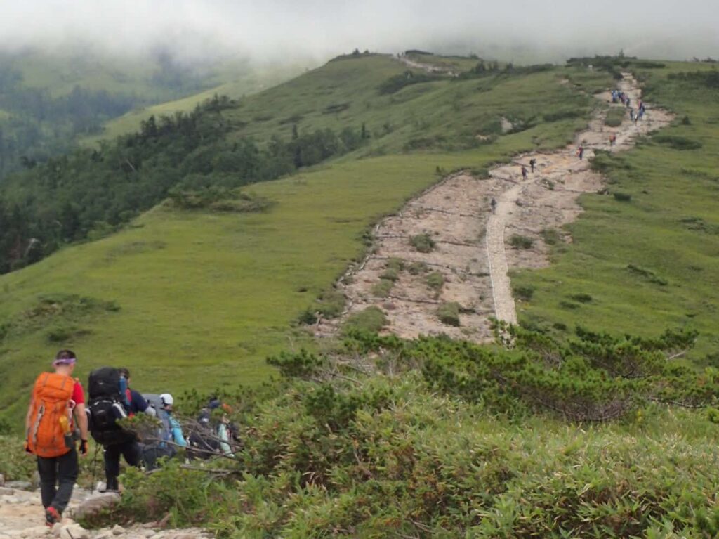 登山道沿いに高山植物保護のゾーンが設けられている