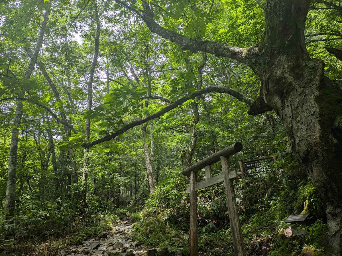 常念　山の神　一の沢登山道