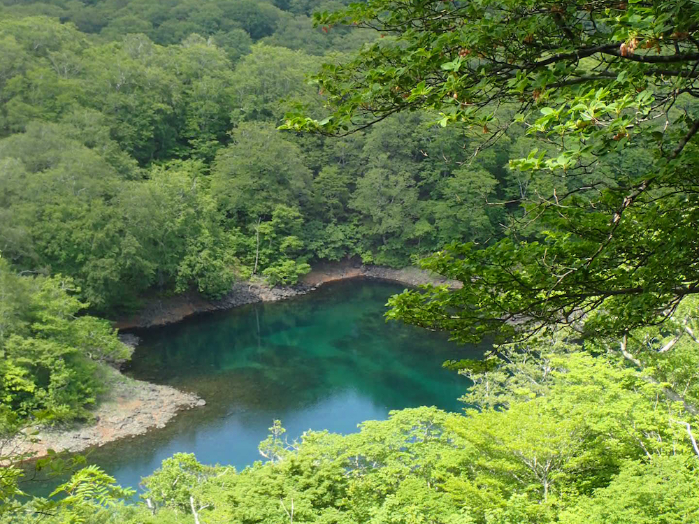 焼石岳　石沼