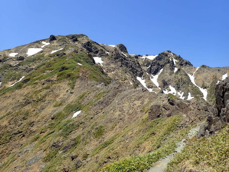 谷川岳西黒尾根らくだの背を行く登山者