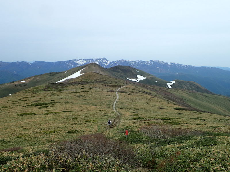 たおやかな平標山　背後に苗場山が見える