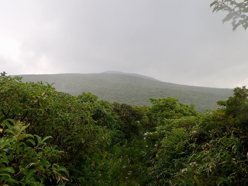 栗駒山がにわかに曇って来た