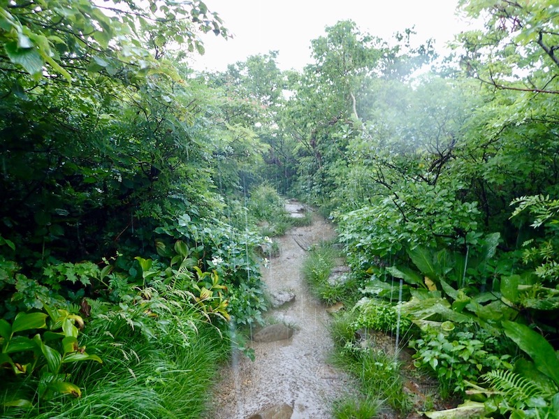 豪雨になってしまう