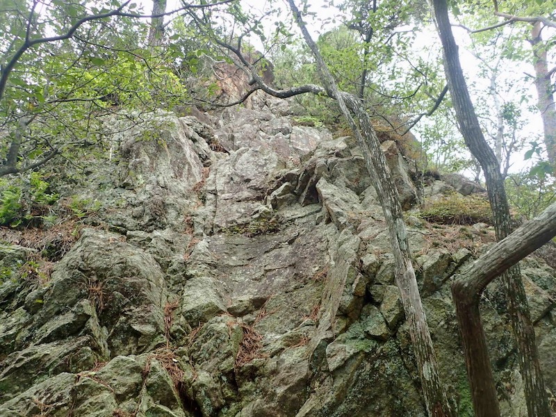 これは無理だなと思っていたら、右手にロープ発見