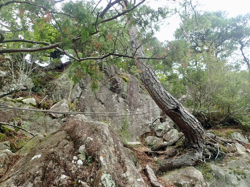 ロープに沿って右上する