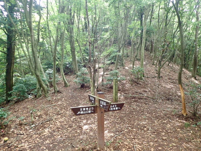 分岐　松尾山手前