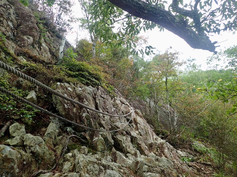 右手にロープが伸びている