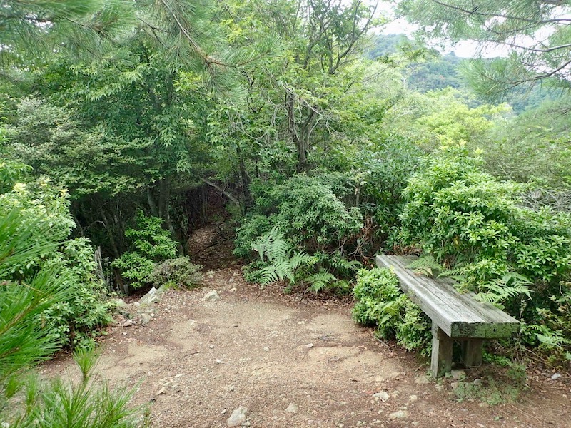 急登が終わるとベンチがあった