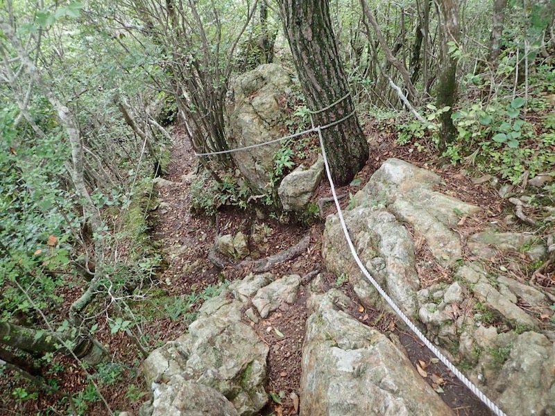 白髪岳からは激下り