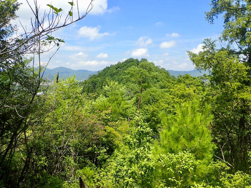 禄庄城跡にひと登りしたらゴールはもうすぐ