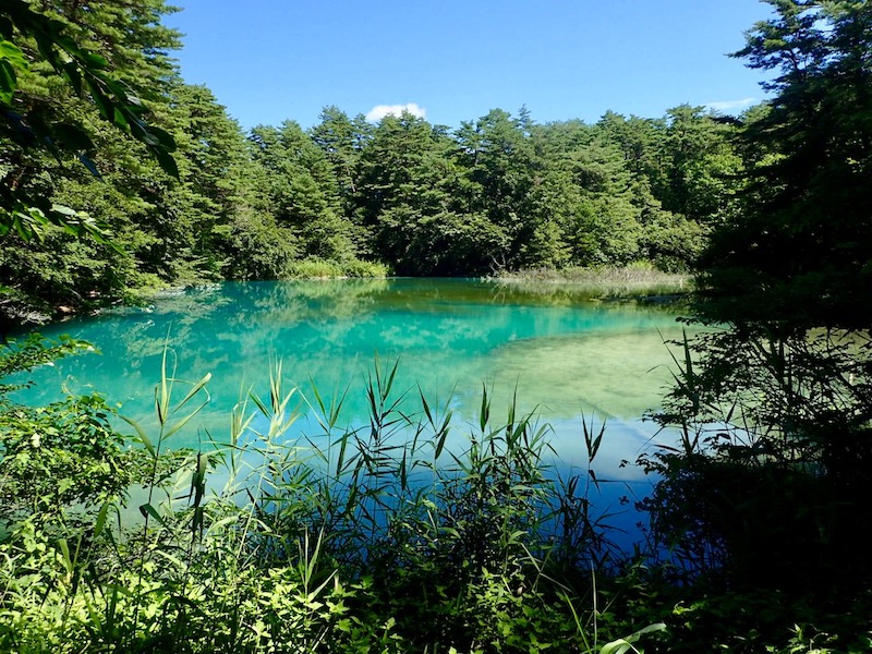神秘的な輝きの青沼
