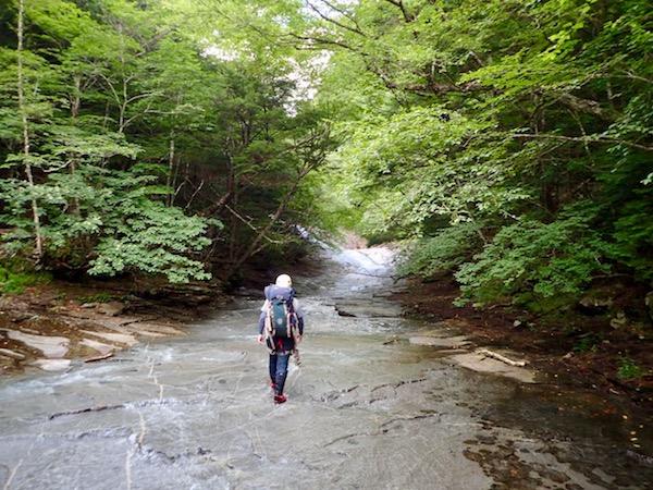 千畳のナメが続くよ〜