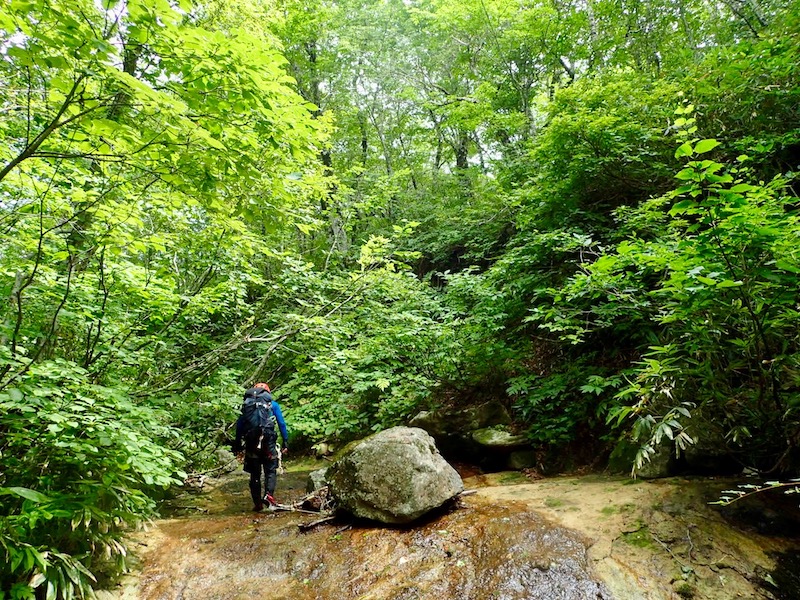 ナメがまだ出てくる