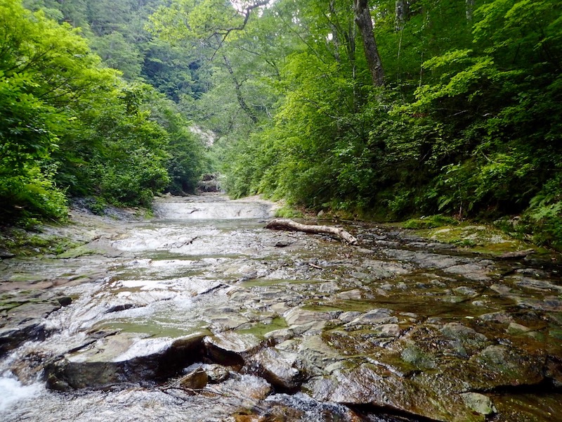 ナメも出てきて楽しい
