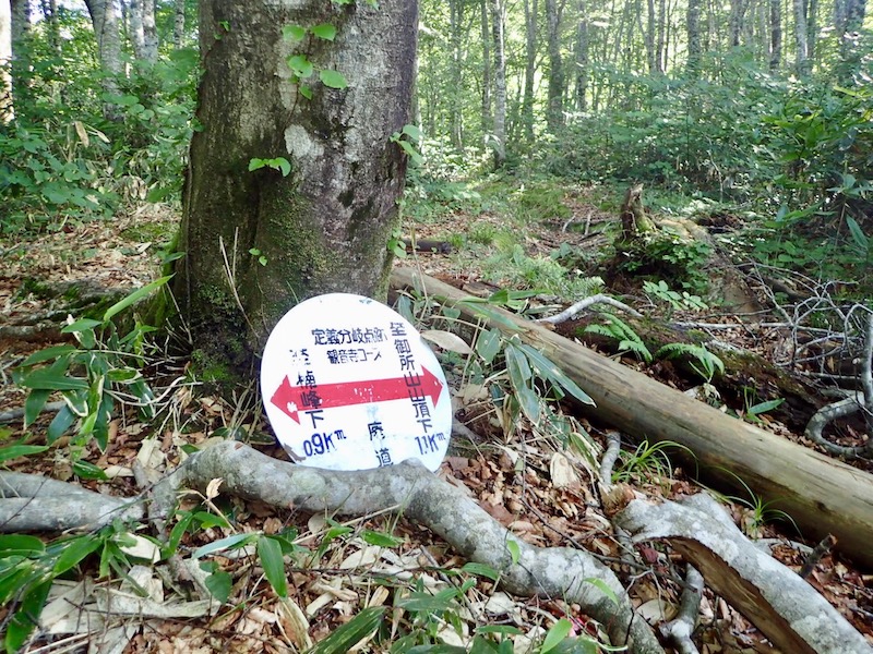 仙交小屋跡分岐