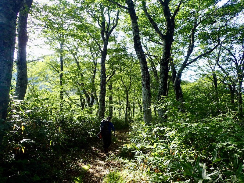 平坦な道が続く