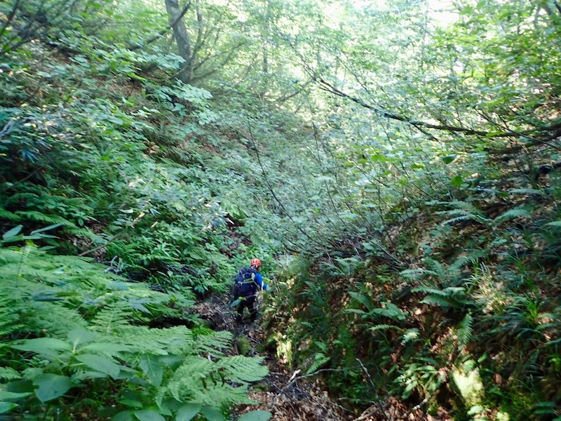 大倉沢を目指して下って行く