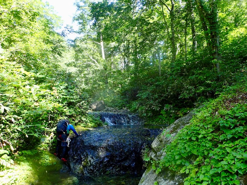 空が大きくなった