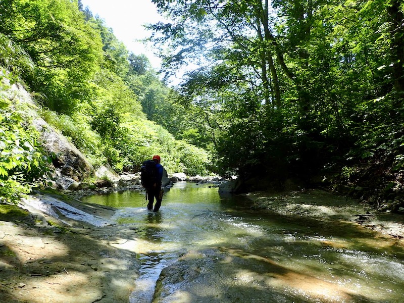 笹子沢出合まで長い