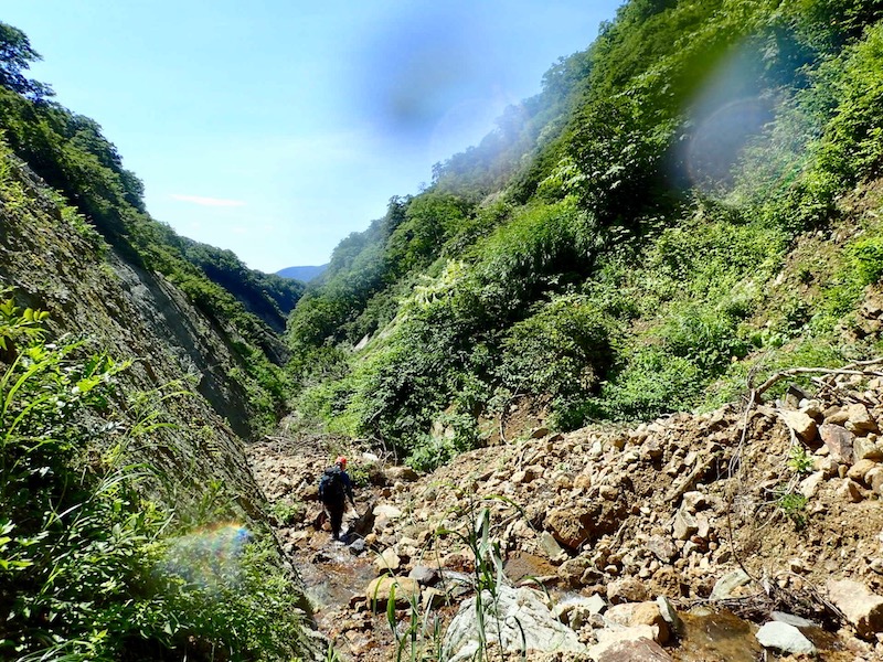 荒れたV字谷になる