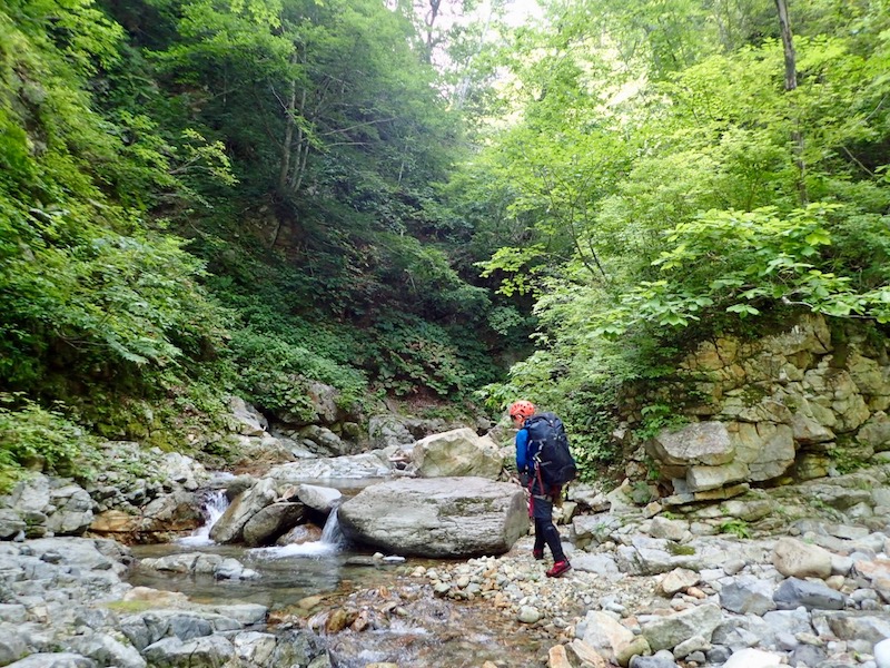 １４時半笹子沢出合