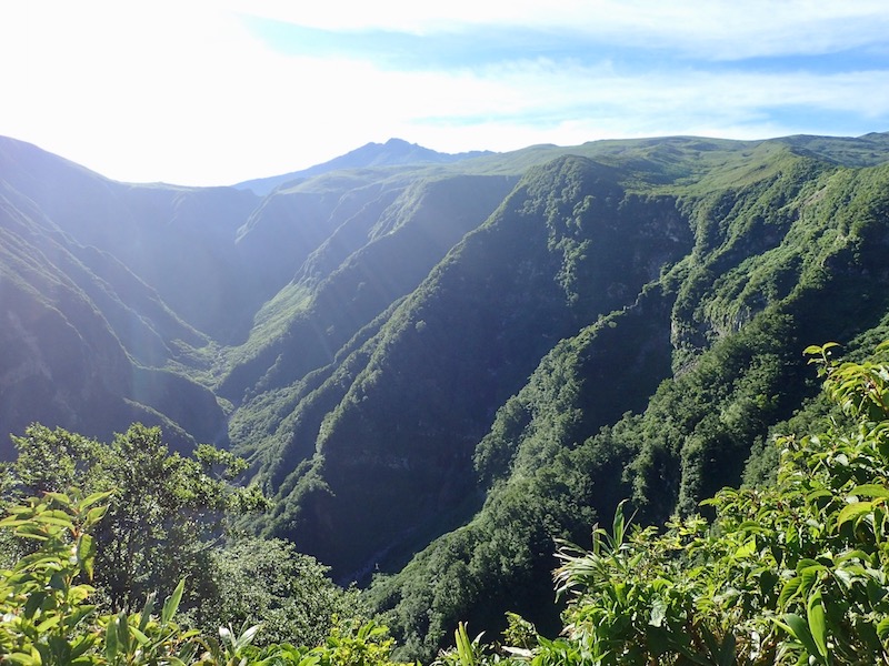 登山口から歩き出し　頂上は遠い