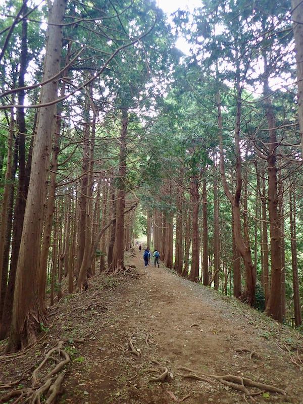 ちょっと平坦になった