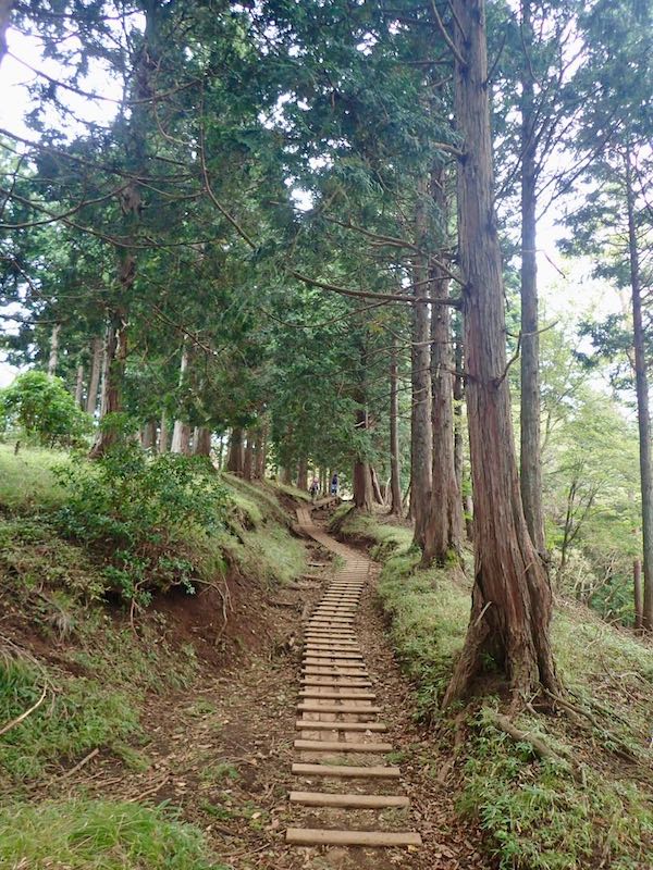 まだまだ登りが続く