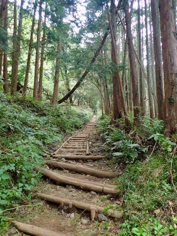 よく整備された道