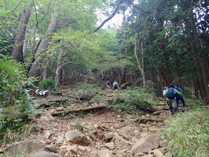 バカ尾根と呼ばれる通り、高度をあげていく