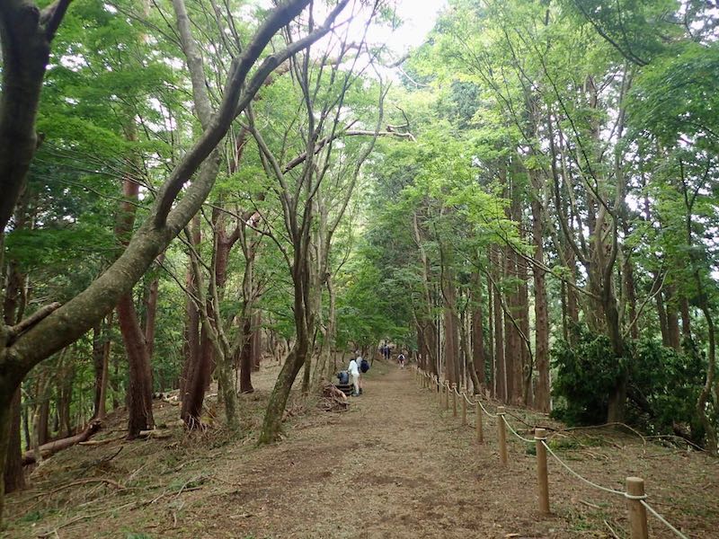 時折平坦となって期待するが