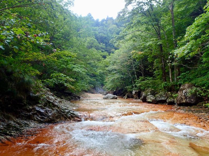 赤い岩床のナメが続きます