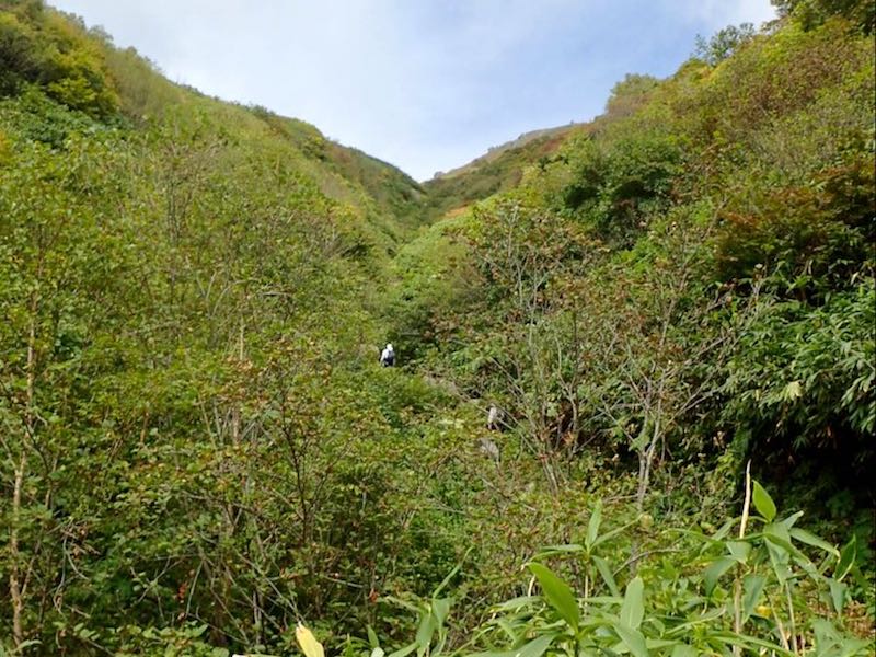 沢沿いの道を登って行く