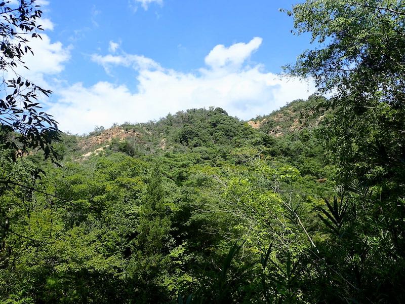 堂山あたりの尾根が見えたアルプスっぽい！