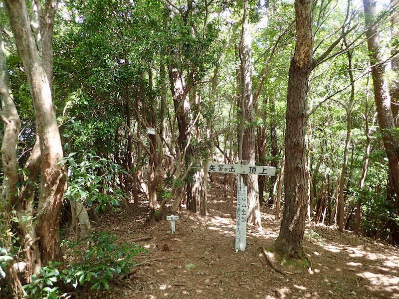 矢筈ヶ岳はパッとしない頂上