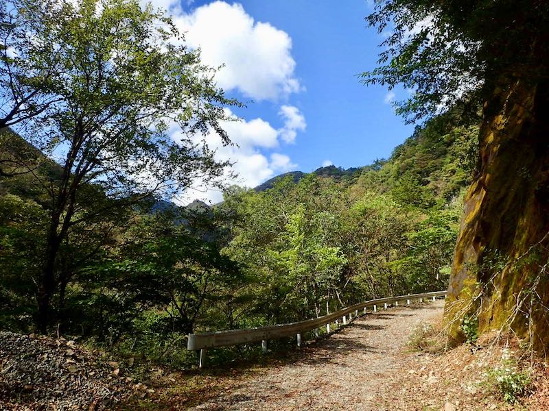 きれいな林道を行く
