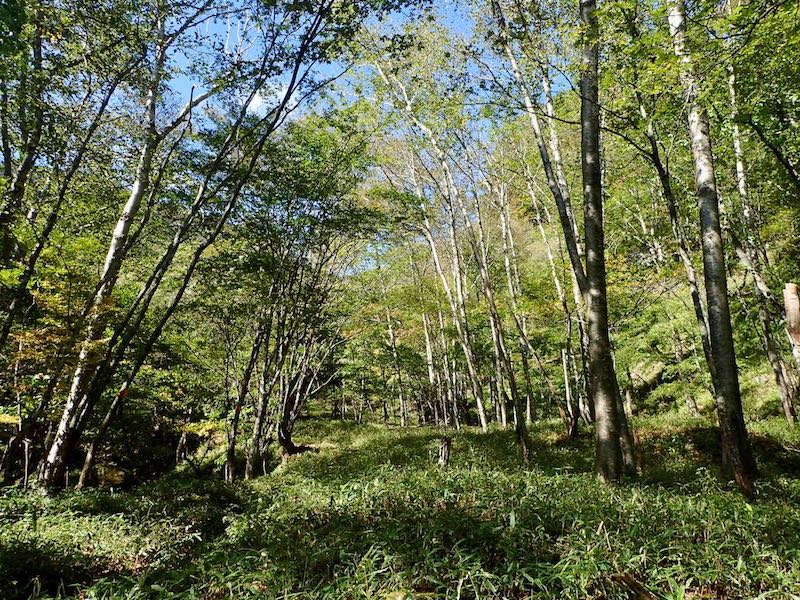 庚申山荘まであと少し