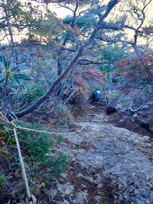 この下りは神経使った