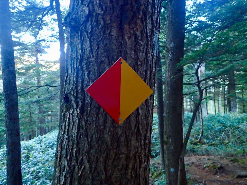 この目印は蛍光塗料でとっても助かった