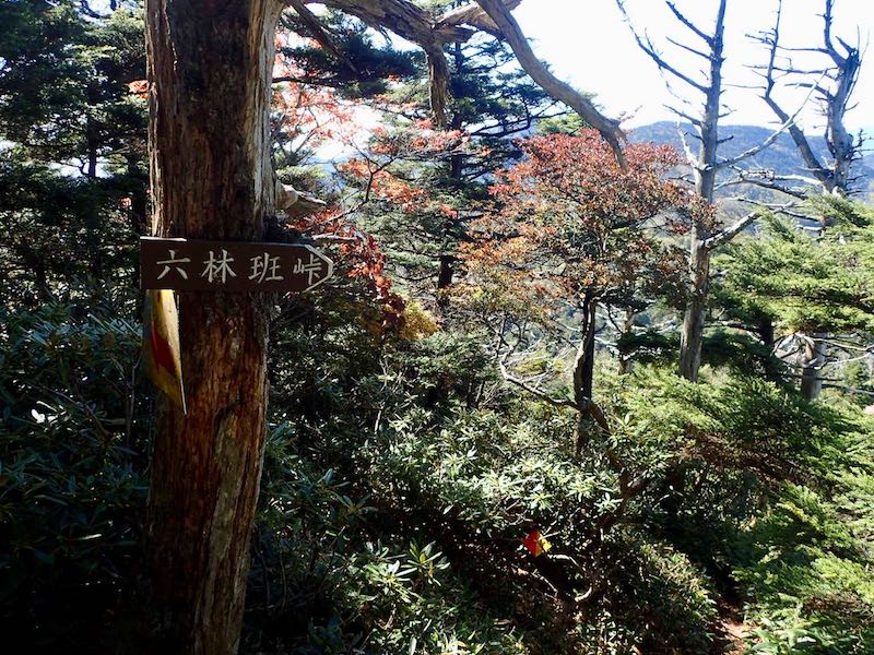 第二の核心とも言われる六林班峠の下山コース