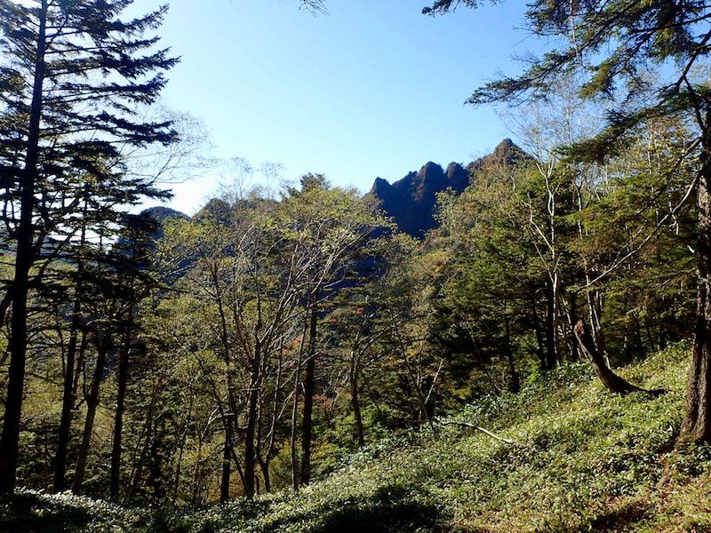 峠まで降りると本当にノコギリみたいだ