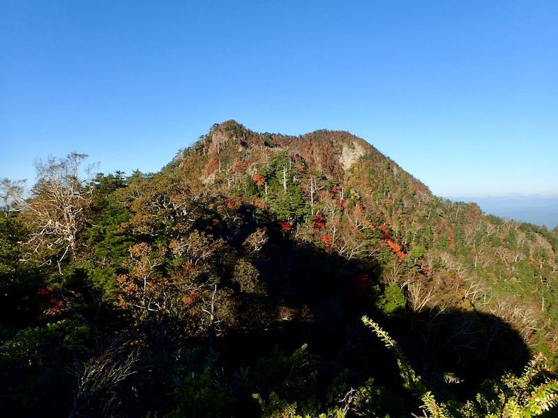鋸山が見える。露岩の部分が核心と言われる