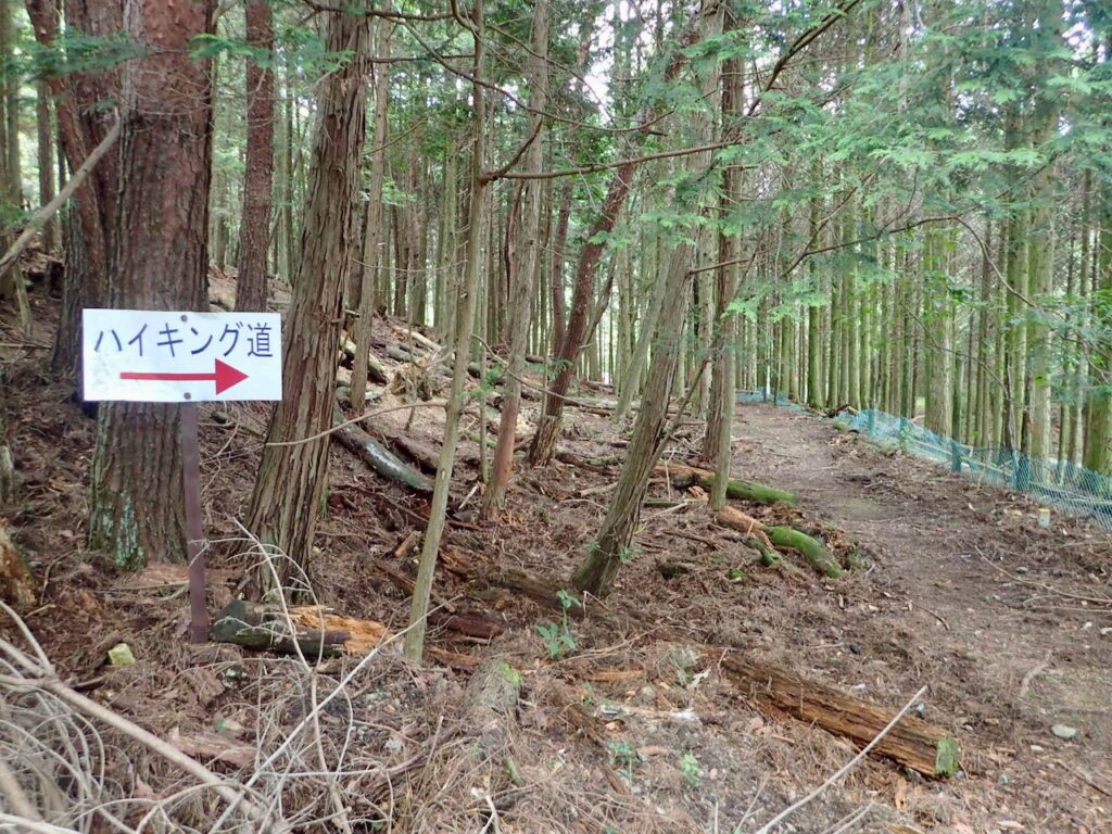 みのお記念の森に入る