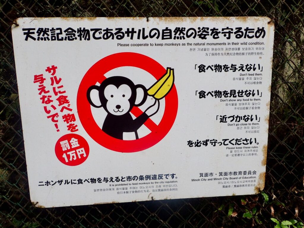 サルへの餌付けは禁止