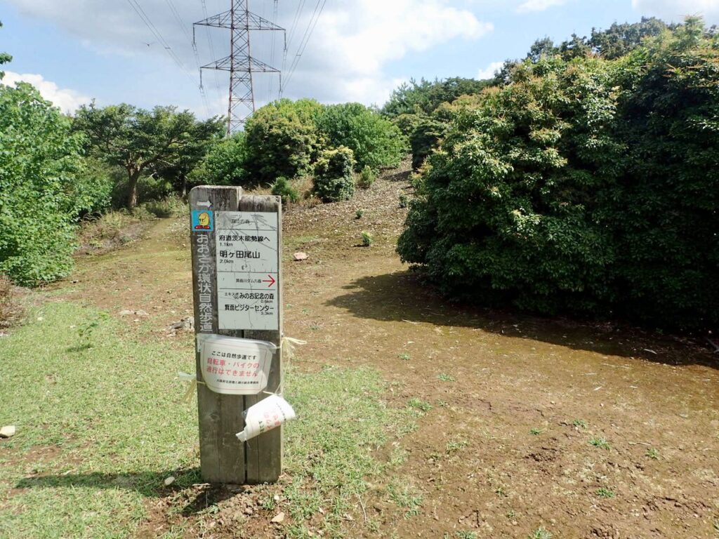 分岐-鉢伏山へは背中の方向へ